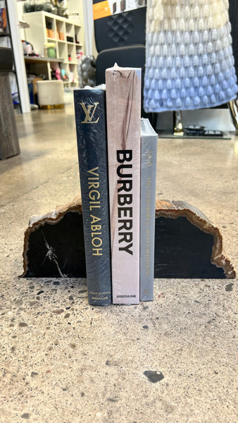 Petrified Wood Bookends Set of 2